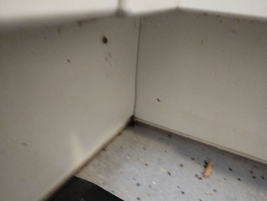 desinfestateur exterminateur-Le Locle-Einsatzvorbereitung.jpeg