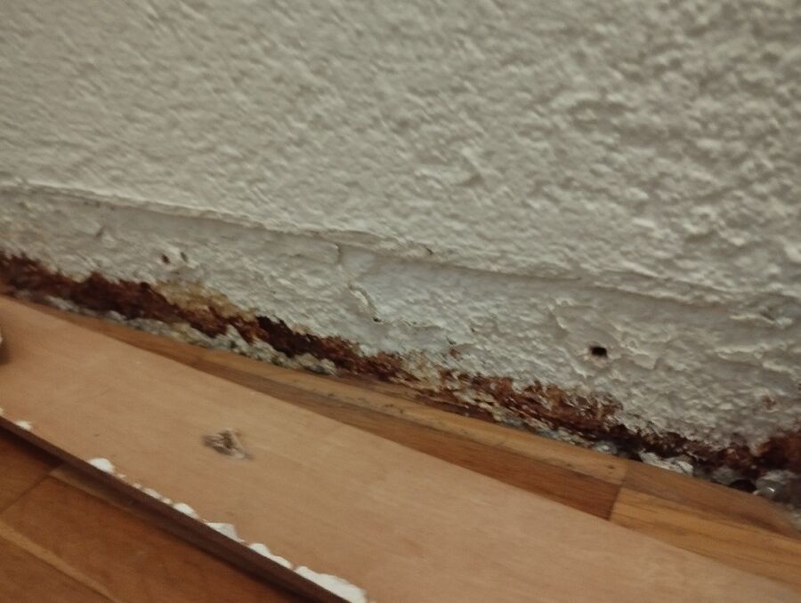 desinfestateur exterminateur-Fiesch-Einsatzvorbereitung.jpeg