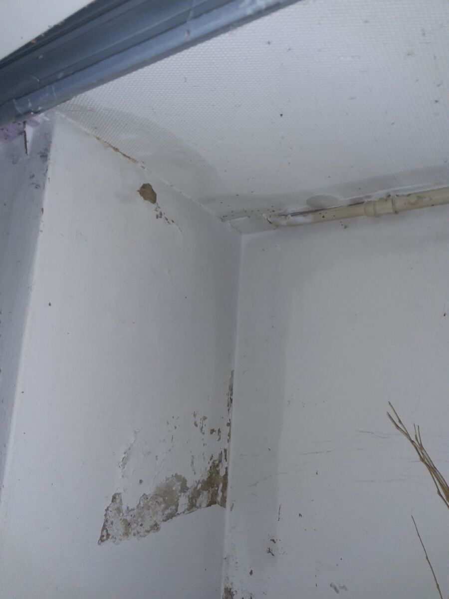 desinfestateur exterminateur-Fieschertal-Einsatzvorbereitung.jpeg