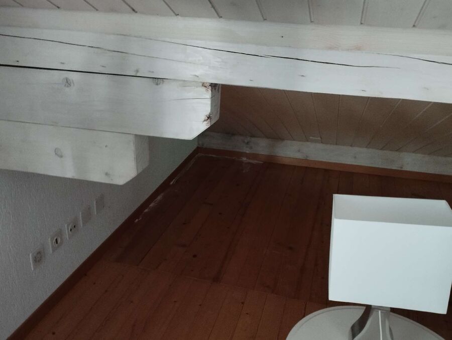 desinfestateur exterminateur-Grimisuat-Einsatzvorbereitung.jpeg