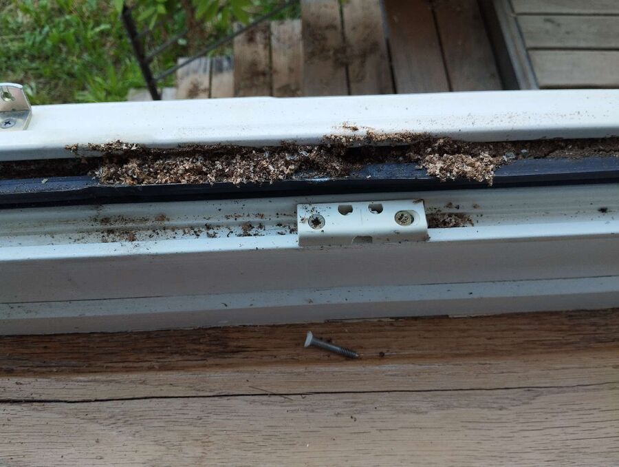 desinfestateur exterminateur-Hérémence-Einsatzvorbereitung.jpeg