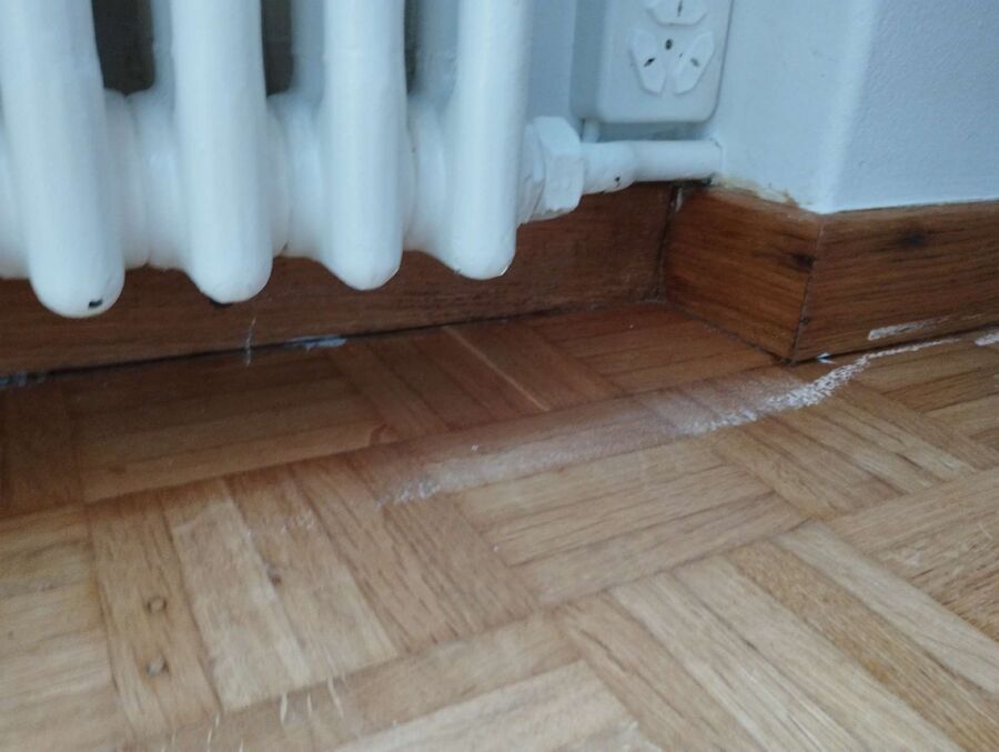 desinfestateur exterminateur-Les Ponts-de-Martel-Einsatzvorbereitung.jpeg