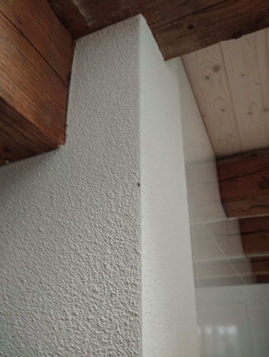 desinfestateur exterminateur-Martigny-Einsatzvorbereitung.jpeg