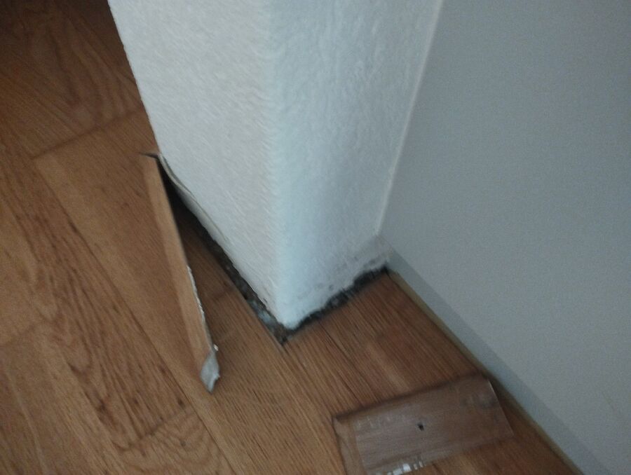 desinfestateur exterminateur-Naters-Einsatzvorbereitung.jpeg