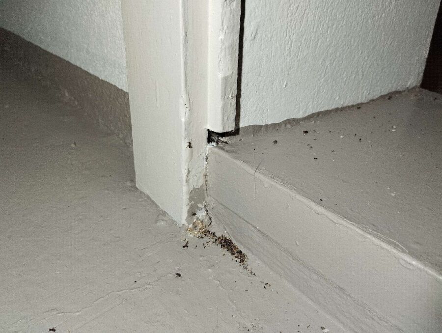 desinfestateur exterminateur-Les Verrières-Einsatzvorbereitung.jpeg