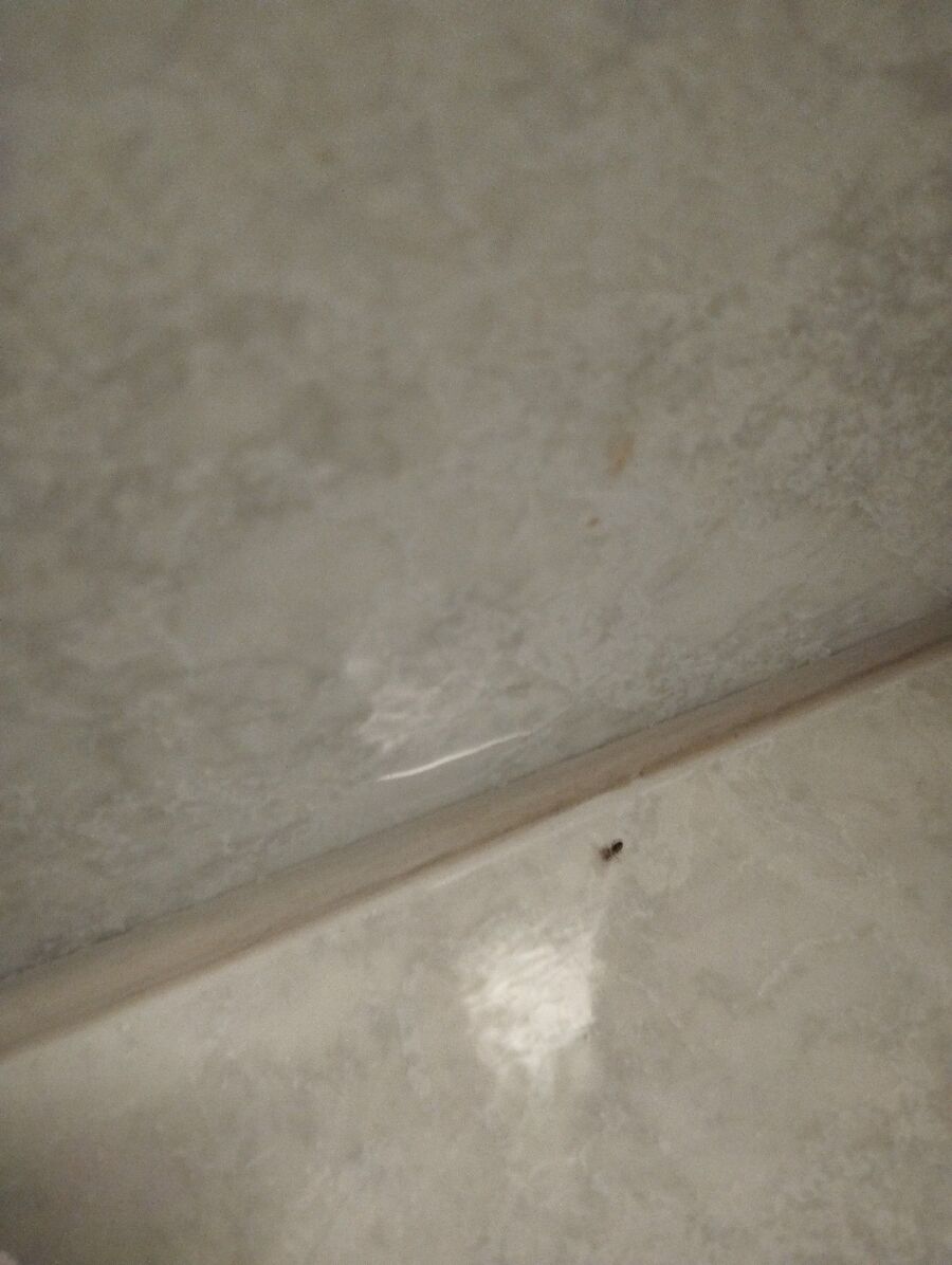 desinfestateur exterminateur-Niedergesteln-Einsatzvorbereitung.jpeg