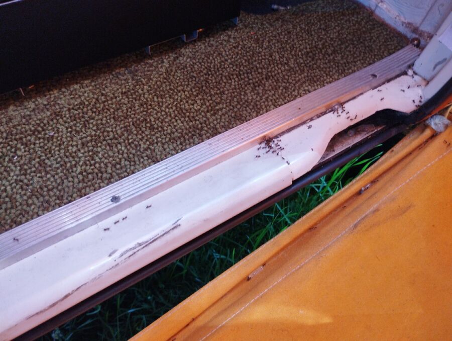 desinfestateur extermindesinfestateur exterminateur-Oberems-Einsatzvorbereitung.jpegateur-Oberems-Einsatzvorbereitung (193).jpeg