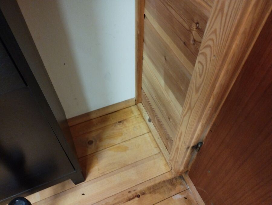 desinfestateur exterminateur-Obergoms-Einsatzvorbereitung.jpeg