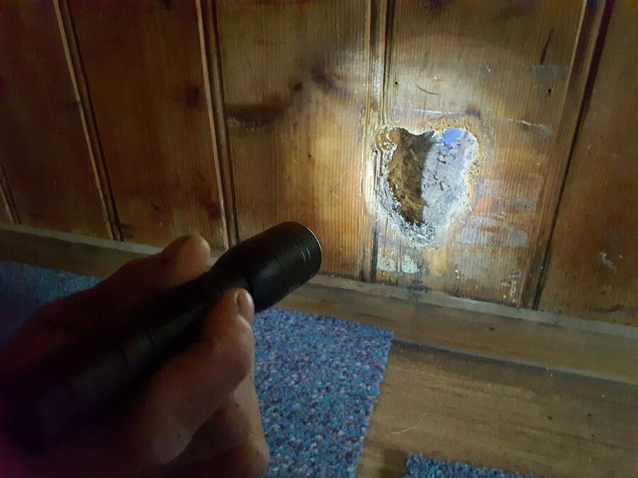 desinfestateur exterminateur-Randa-Einsatzvorbereitung.jpeg