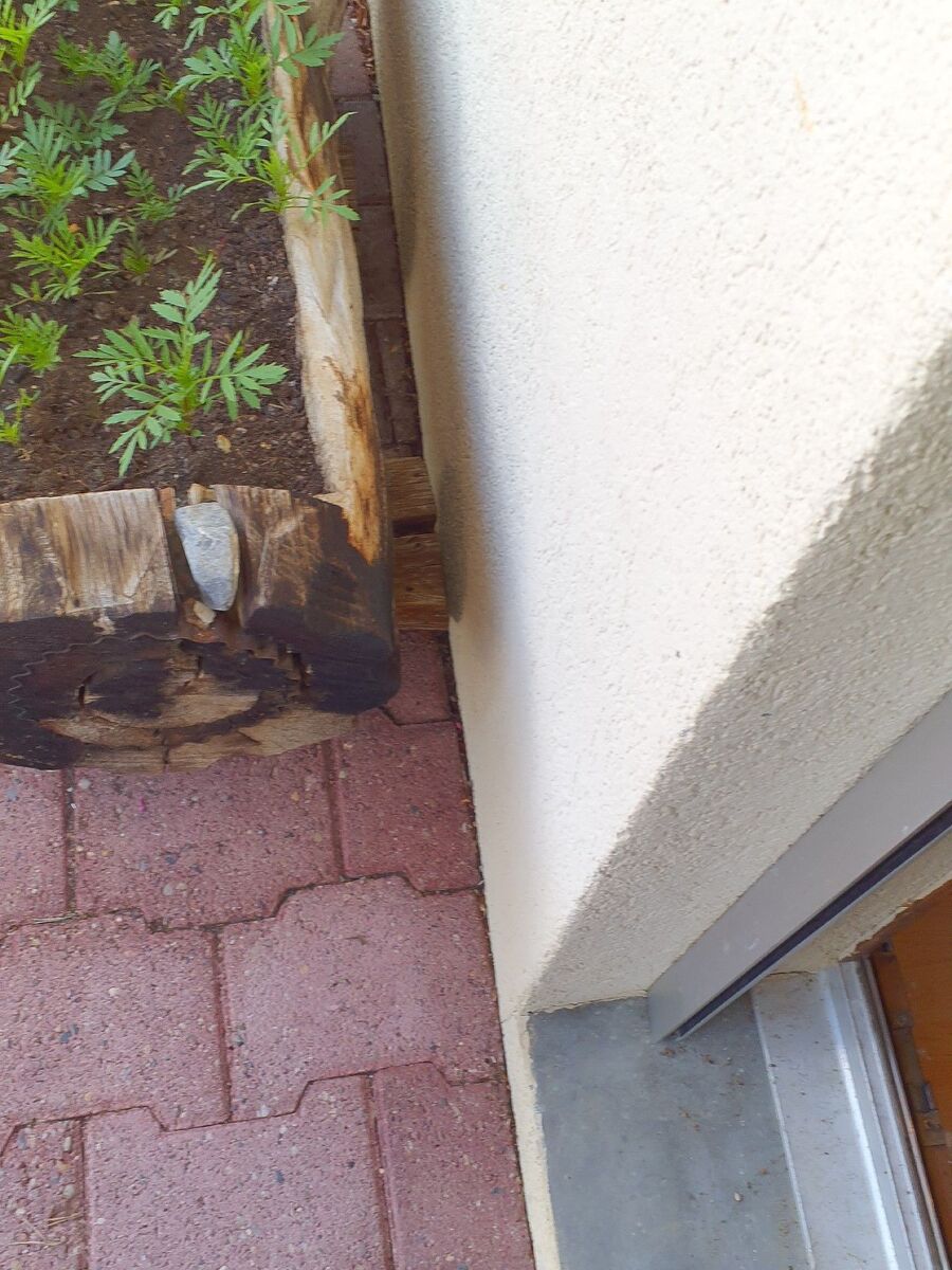 desinfestateur exterminateur-Raron-Einsatzvorbereitung.jpeg