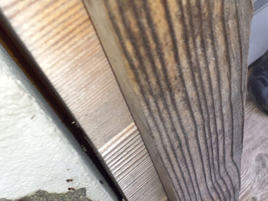 desinfestateur exterminateur-Riddes-Einsatzvorbereitung.jpeg