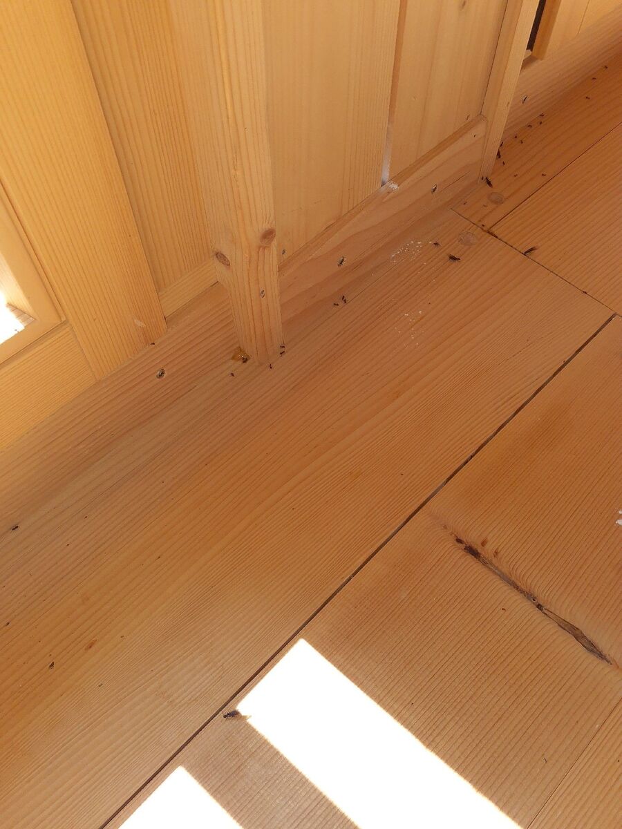 desinfestateur exterminateur-Riederalp-Einsatzvorbereitung.jpeg