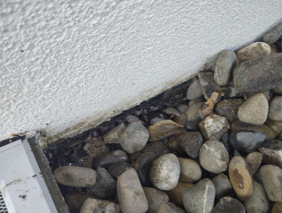 desinfestateur exterminateur-Saas-Balen-Einsatzvorbereitung.jpeg