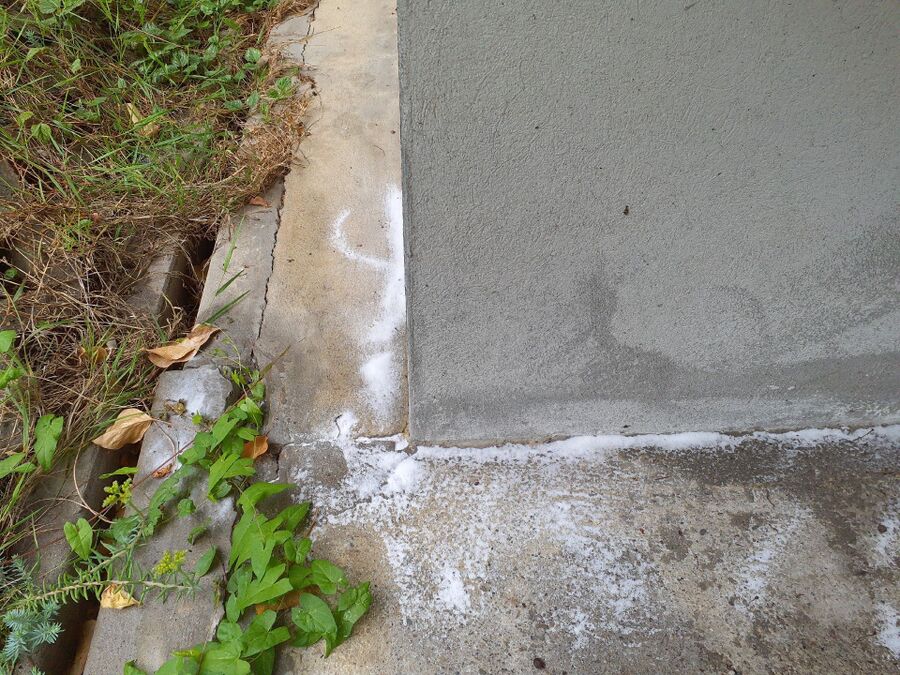 desinfestateur exterminateur-Saas-Grund-Einsatzvorbereitung.jpeg