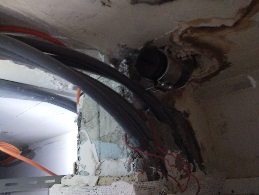 desinfestateur exterminateur-Saillon-Einsatzvorbereitung.jpeg