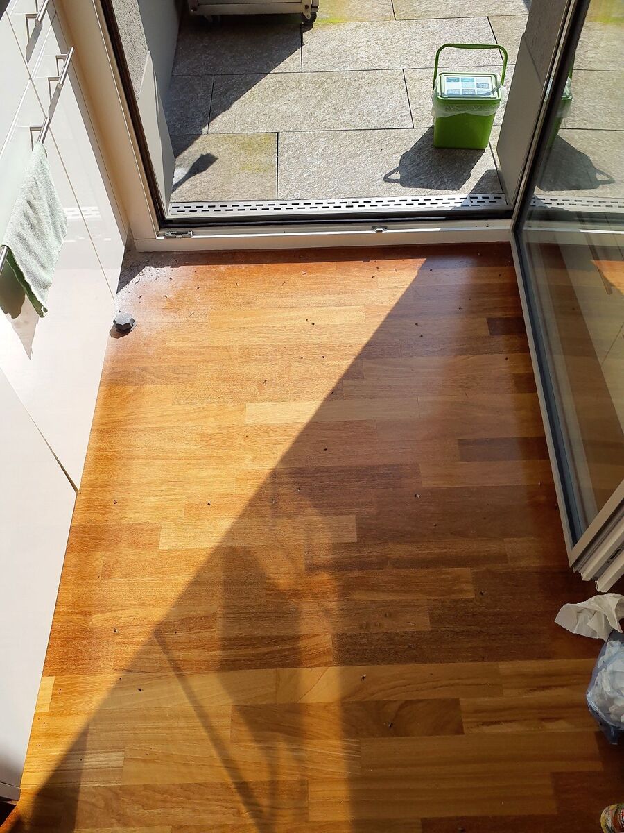 desinfestateur exterminateur-Saint-Léonard-Einsatzvorbereitung.jpeg