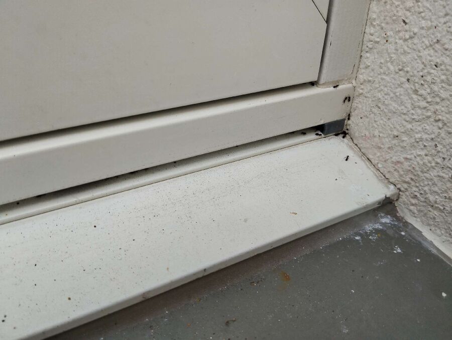 desinfestateur exterminateur-Milvignes-Einsatzvorbereitung.jpeg