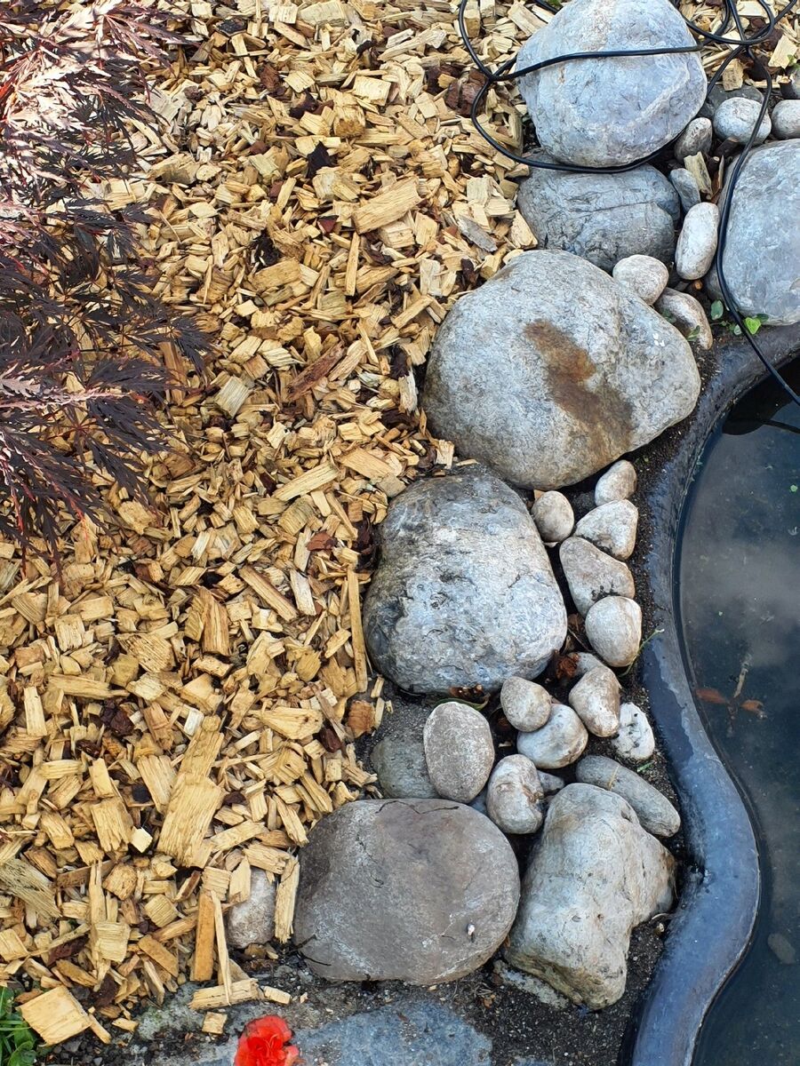 desinfestateur exterminateur-Salvan-Einsatzvorbereitung.jpeg