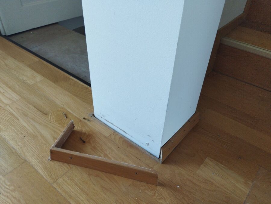 desinfestateur exterminateur-Sierre-Einsatzvorbereitung.jpeg