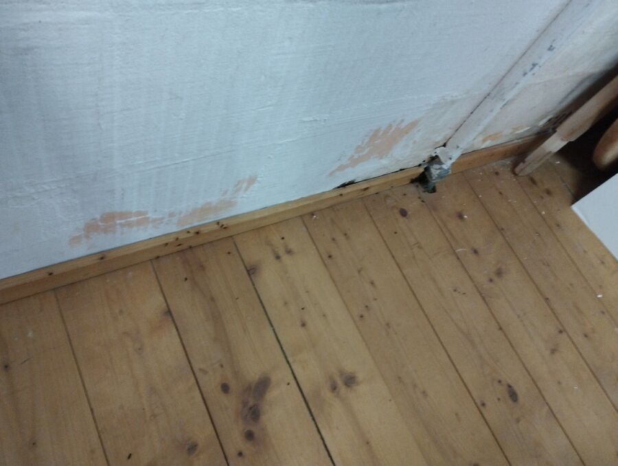 desinfestateur exterminateur-Unterbäch-Einsatzvorbereitung.jpeg