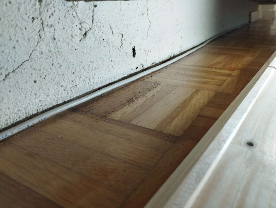 desinfestateur exterminateur-Rochefort-Einsatzvorbereitung.jpeg