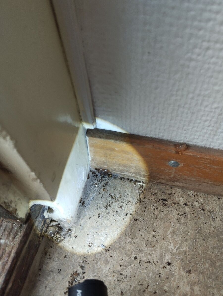 desinfestateur exterminateur-Varen-Einsatzvorbereitung.jpeg