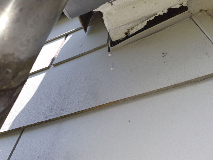 desinfestateur exterminateur-Visp-Einsatzvorbereitung.jpeg