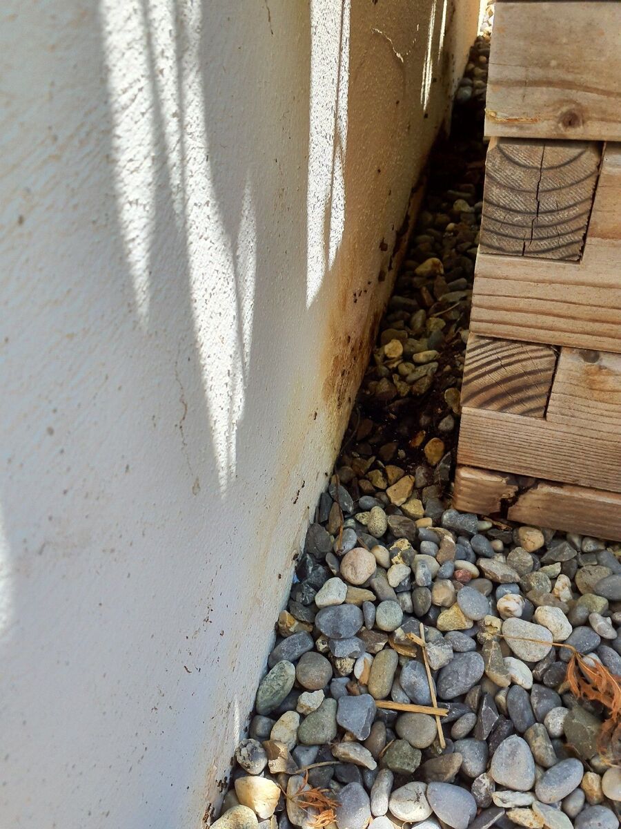 desinfestateur exterminateur-Wiler (Lötschen)-Einsatzvorbereitung.jpeg