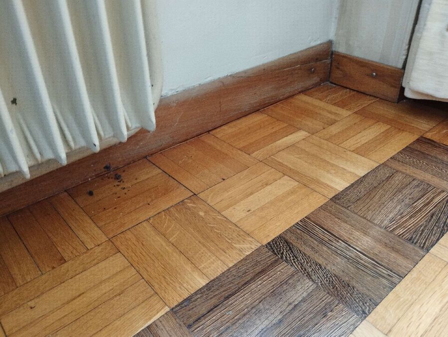 desinfestateur exterminateur-Zwischbergen-Einsatzvorbereitung.jpeg