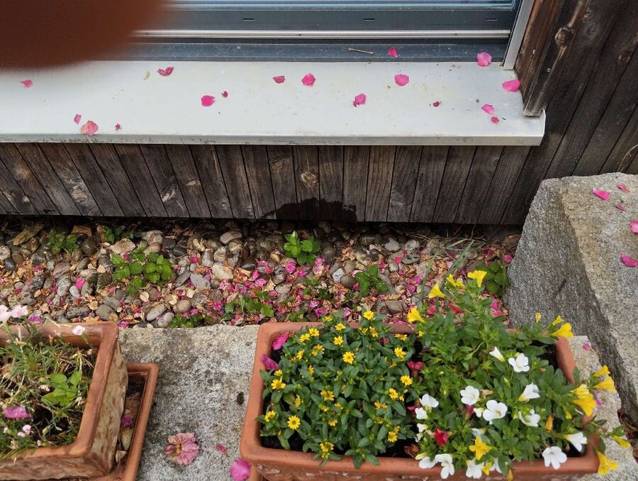 desinfestateur exterminateur-Attalens-Einsatzvorbereitung.jpeg