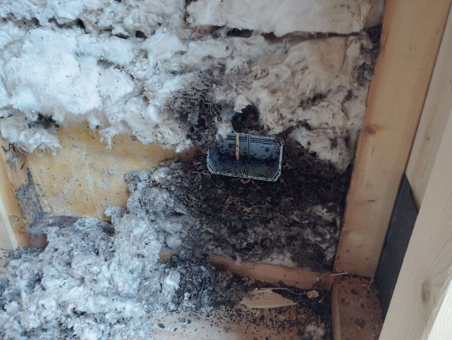 desinfestateur exterminateur-Autigny-Einsatzvorbereitung.jpeg