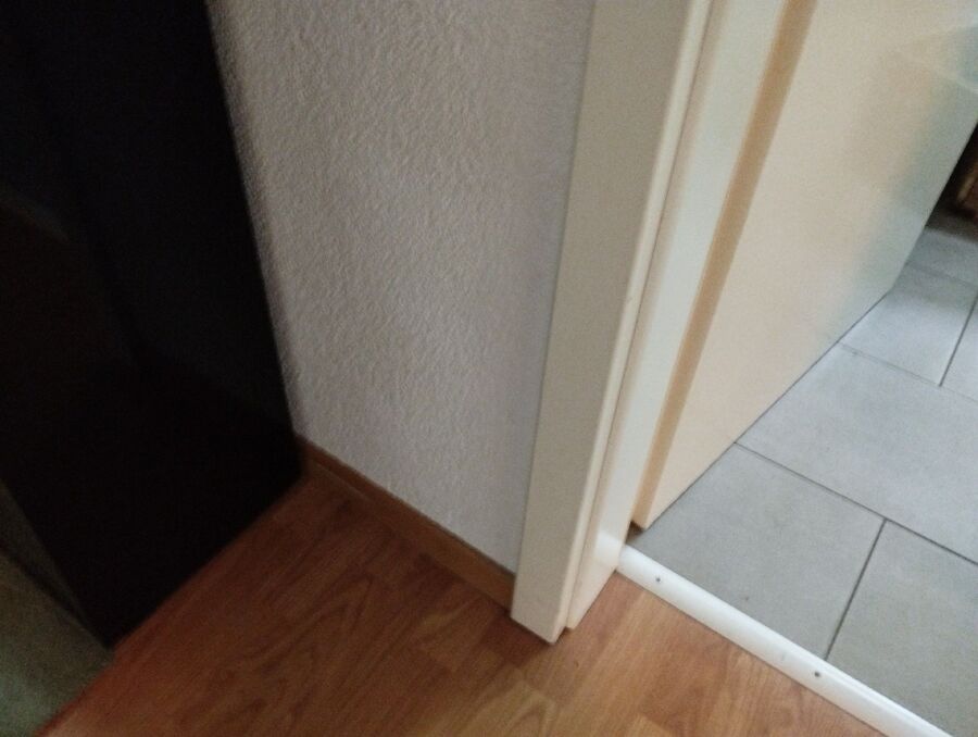 desinfestateur exterminateur-Bas-Intyamon-Einsatzvorbereitung.jpeg