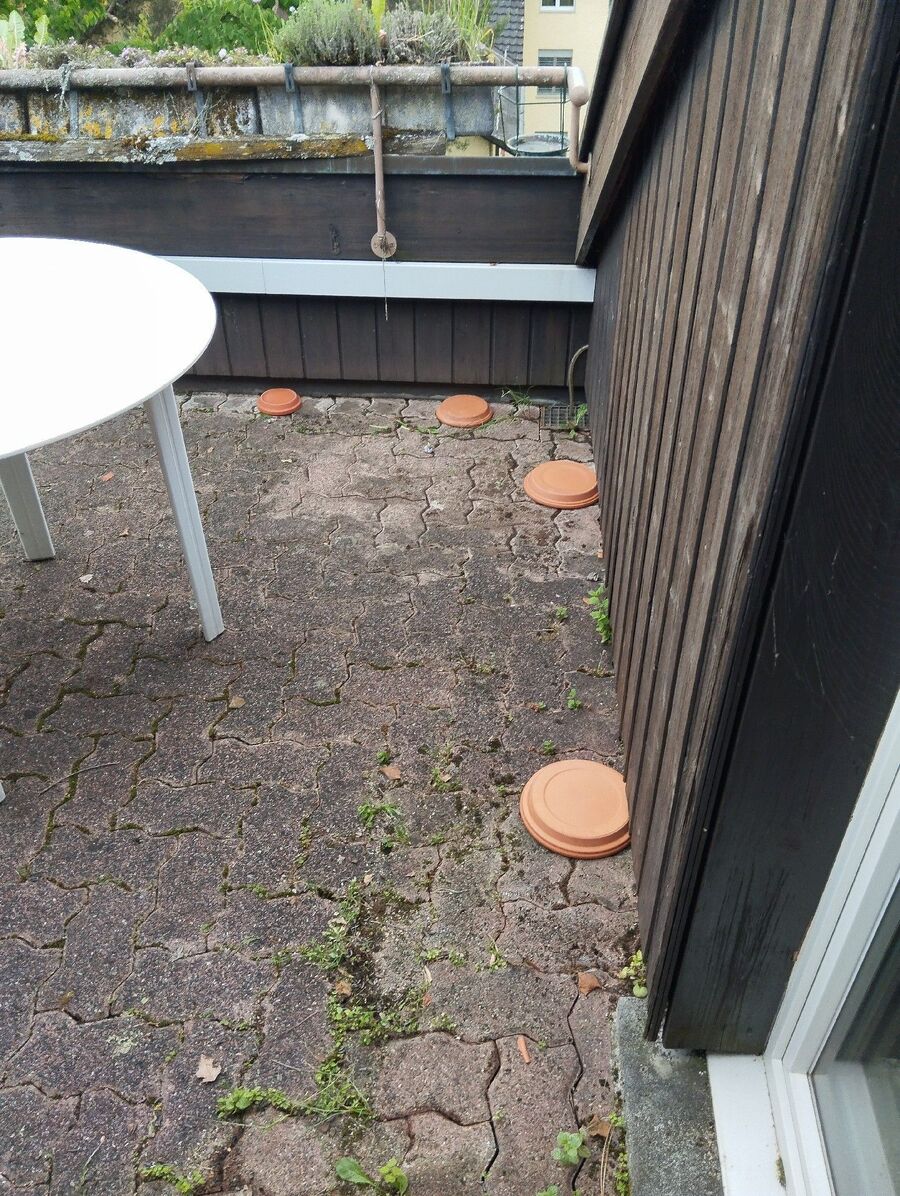 desinfestateur exterminateur-Belfaux-Einsatzvorbereitung.jpeg