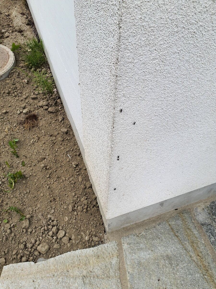 desinfestateur exterminateur-Bösingen-Einsatzvorbereitung.jpeg