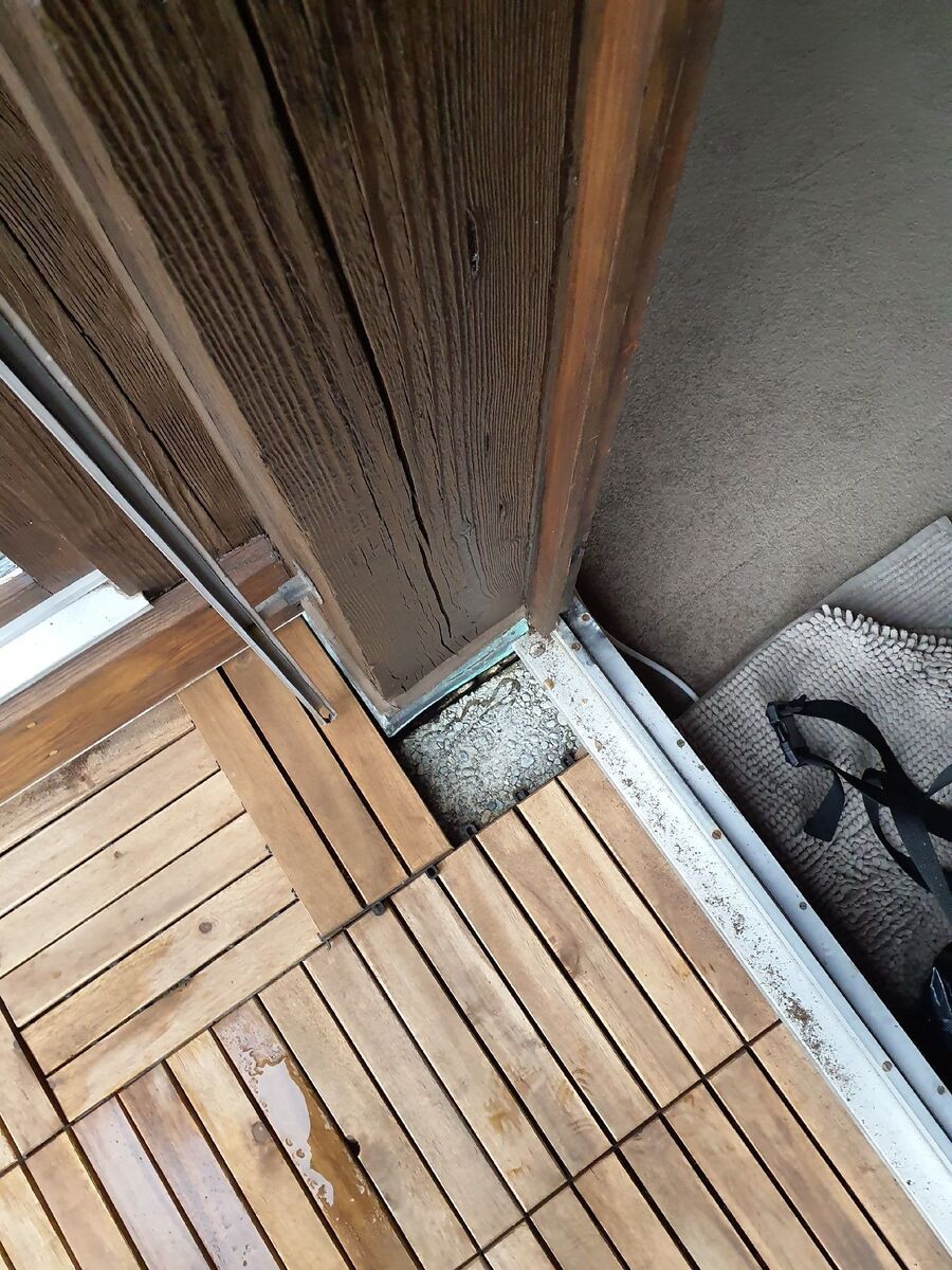 desinfestateur exterminateurdesinfestateur exterminateur-Botterens-Einsatzvorbereitung.jpeg-Botterens-Einsatzvorbereitung (257).jpeg