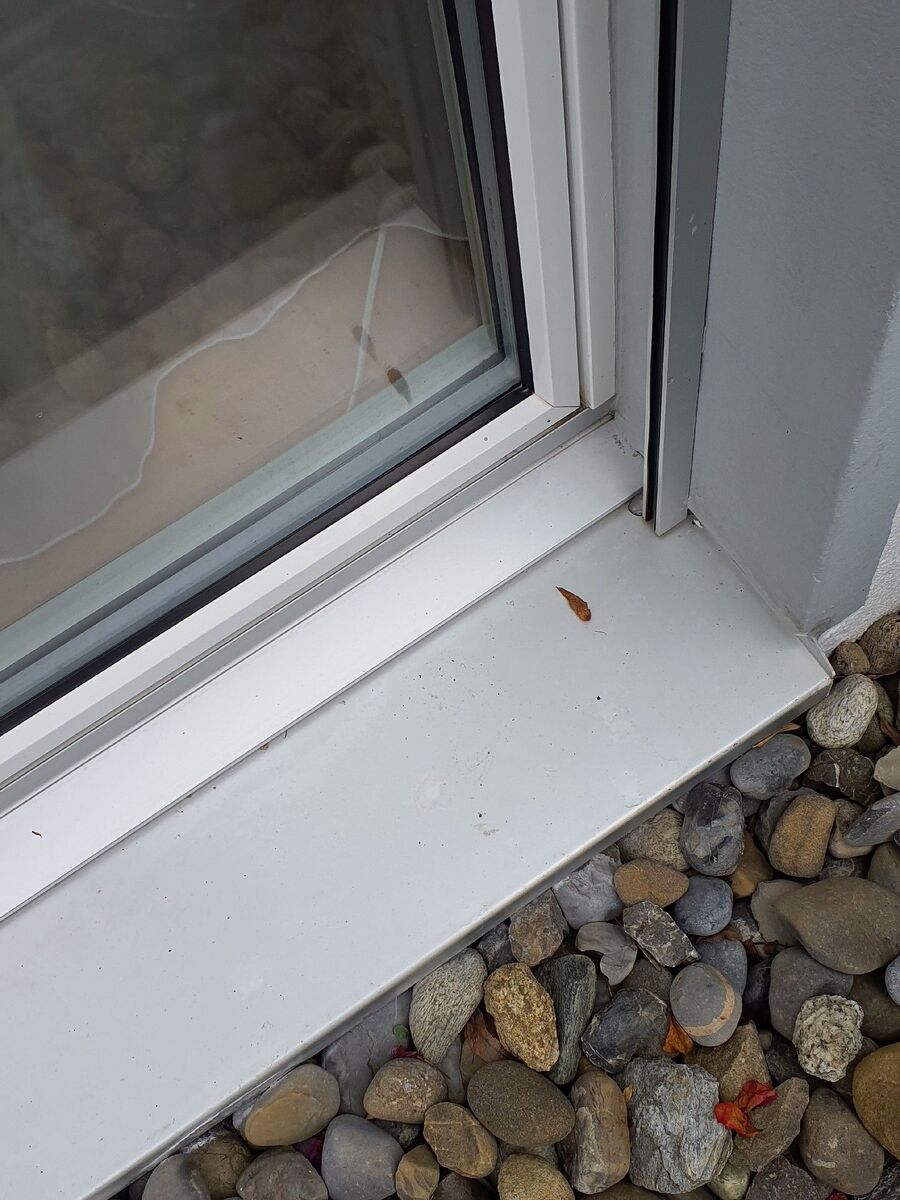 desinfestateur exterminateur-Broc-Einsatzvorbereitung.jpeg