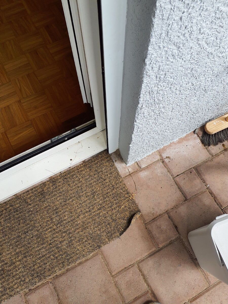 desinfestateur exterminateur-Brünisried-Einsatzvorbereitung.jpeg