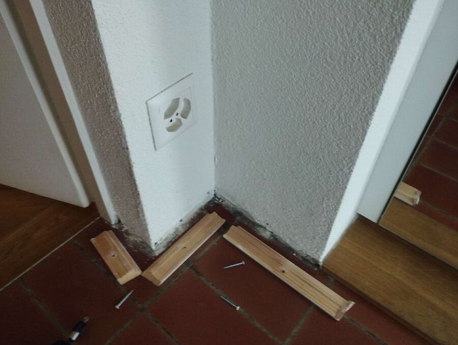 desinfestateur exterminateur-Val-de-Travers-Einsatzvorbereitung.jpeg