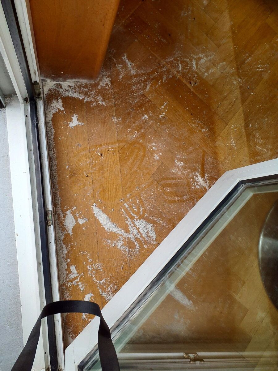 desinfestateur exterminateur-Châtel-Saint-Denis-Einsatzvorbereitung.jpeg