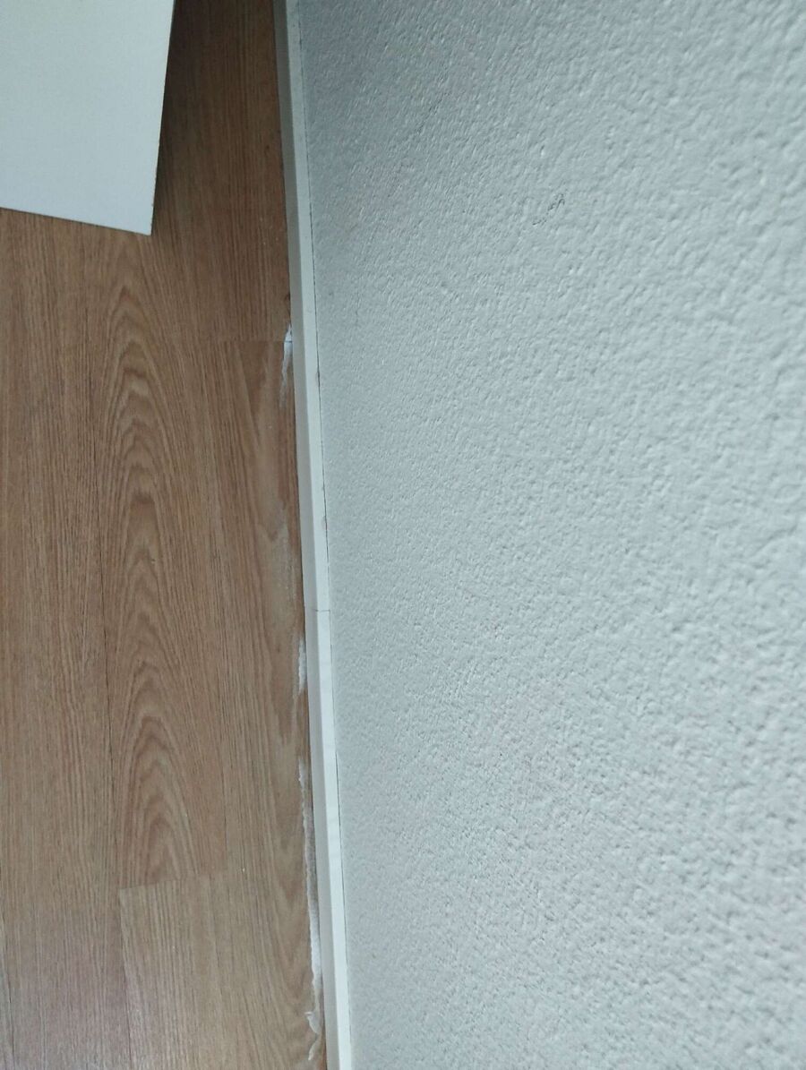 desinfestateur exterminateur-Corminboeuf-Einsatzvorbereitung.jpeg