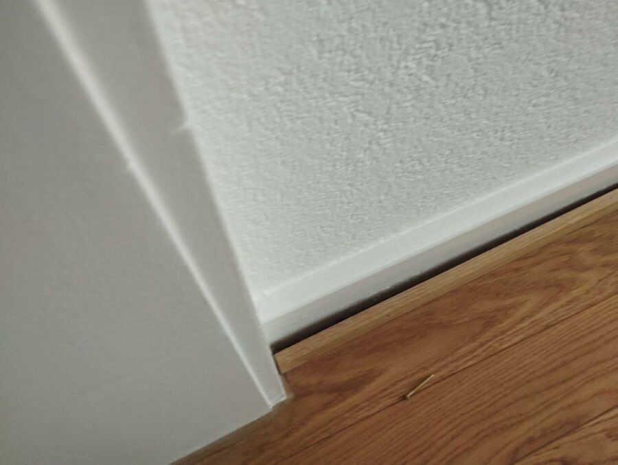 desinfestateur exterminateur-Aire-la-Ville-Einsatzvorbereitung.jpeg