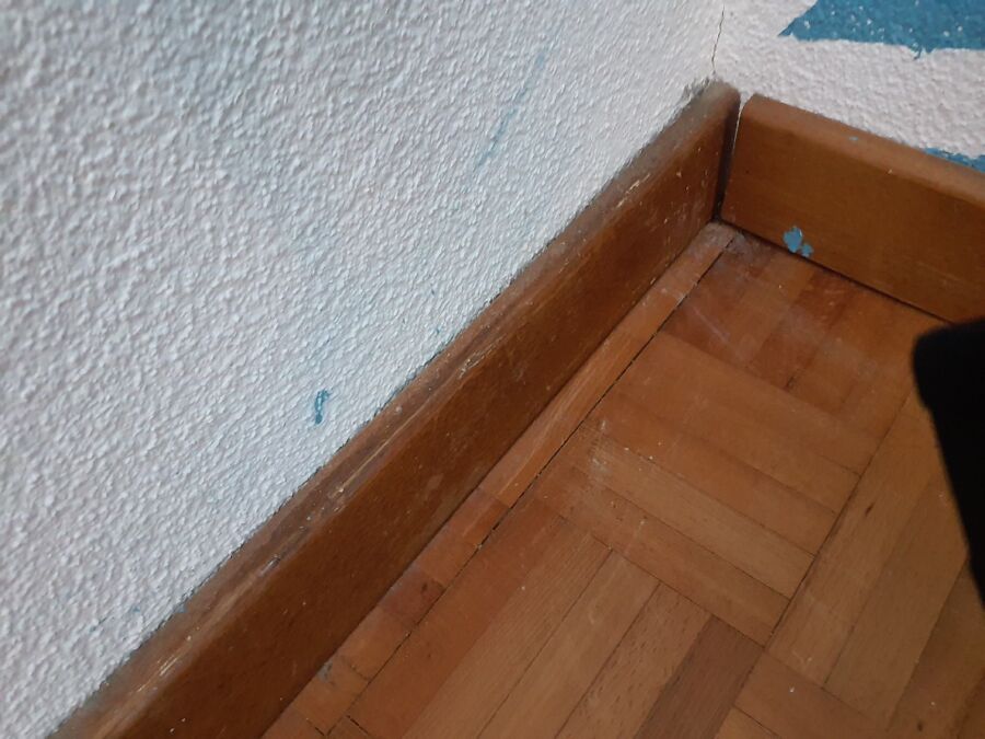 desinfestateur exterminateur-Estavayer-Einsatzvorbereitung.jpeg