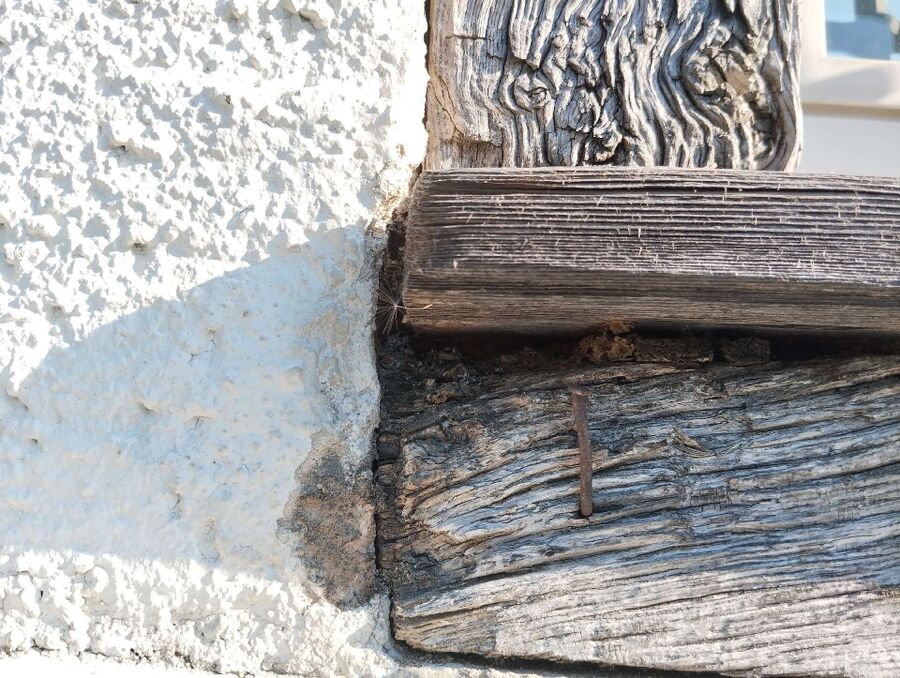 desinfestateur exterminateur-Gibloux-Einsatzvorbereitung.jpeg