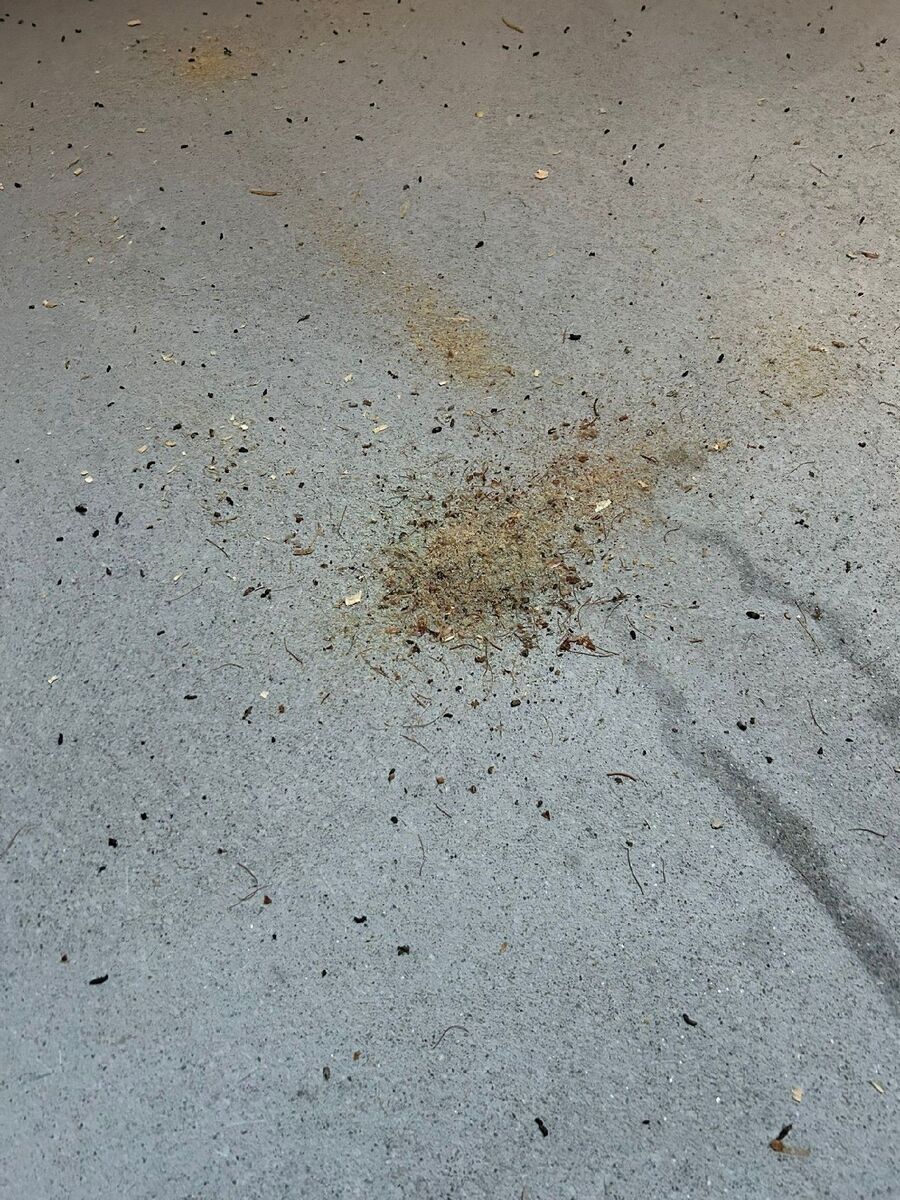 desinfestateur exterminateur-Hauterive (FR)-Einsatzvorbereitung.jpeg