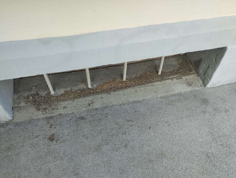 desinfestateur exterminateur-Heitenried-Einsatzvorbereitung.jpeg