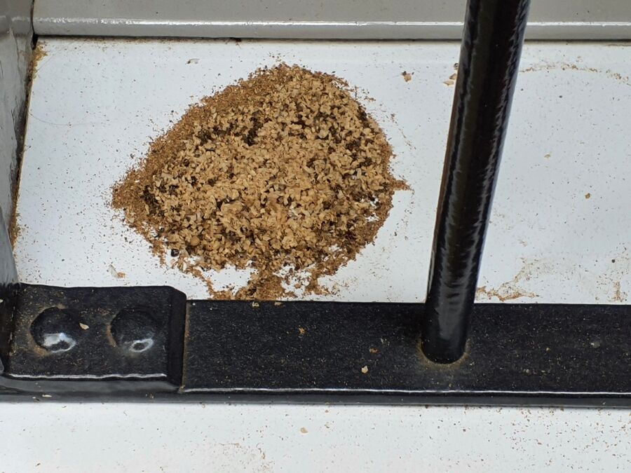 desinfestateur exterminateur-Kleinbösingen-Einsatzvorbereitung.jpeg