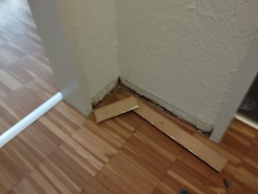 desinfestateur exterminateur-La Brillaz-Einsatzvorbereitung.jpeg