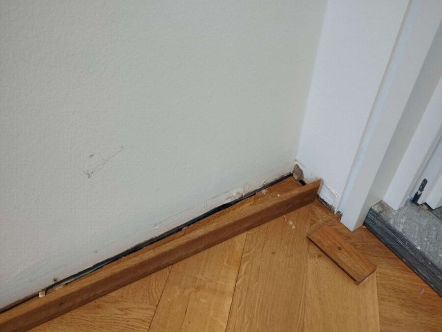 desinfestateur exterminateur-Bardonnex-Einsatzvorbereitung.jpeg