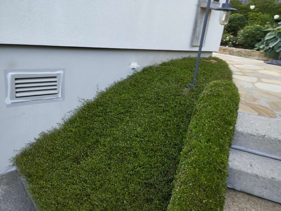 desinfestateur exterminateur-Marsens-Einsatzvorbereitung.jpeg