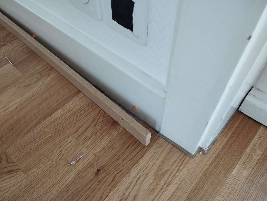 desinfestateur exterminateur-Bellevue-Einsatzvorbereitung.jpeg